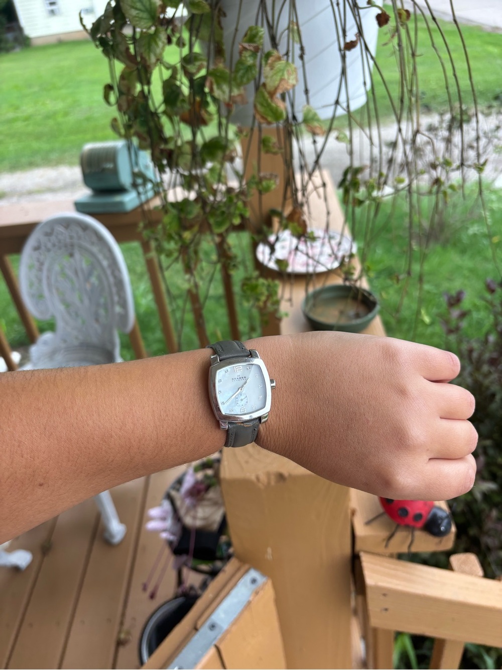 Nice Skagen Silver Tone mother of pearl Watch with new battery